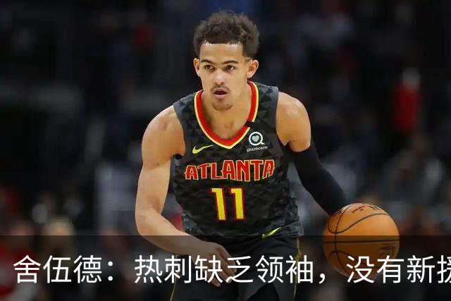 舍伍德：热刺缺乏领袖，没有新援让人印象深刻